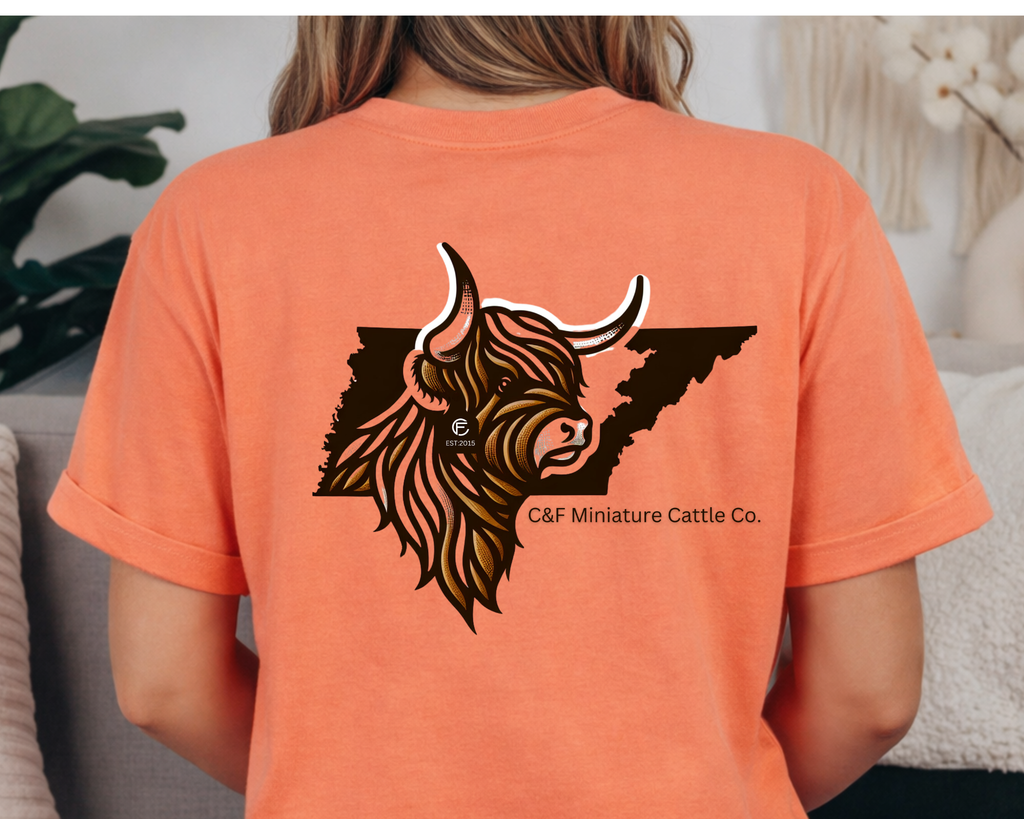 C&F Miniature Cattle Co. Original Logo Comfort Colors Tee